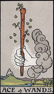 Ace of Wands Tarot Upright Meaning by The Tarot Guide, Learn How to Read Tarot Cards, Minor Arcana, General Interpretation, Love, Relationships, Money, Finance, Health, Spirituality, Keywords, Tarot Reading, Tarot Readers, Psychic, Clairvoyant, Reiki, Palm, Online, Skype, Email, In-person Tarot Readings, Dublin, Ireland, UK, USA, Canada, Australia, How Someone Sees You, Feels About You, Job Offer, Feelings¸ Outcome