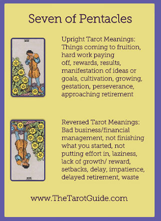 Seven of Pentacles Tarot Flashcard showing the best keyword meanings for the upright & reversed card, free online Minor Arcana flashcards, made by professional psychic Tarot reader, The Tarot Guide, the easy way to learn how to accurately read Tarot.