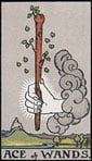 Ace of Wands Tarot card upright and reversed meaning by The Tarot Guide, Minor Arcana, Ace of Wands Tarot, Tarot card meanings, Ace of Wands Tarot card, Ace of Wands Tarot meaning, Ace of Wands Tarot reading, Tarot card reading, Tarot reading,