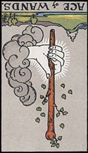 Ace of Wands Tarot Reversed Meaning by The Tarot Guide, Learn How to Read Tarot Cards, Minor Arcana, General Interpretation, Love, Relationships, Money, Finance, Health, Spirituality, Keywords, Tarot Reading, Tarot Readers, Psychic, Clairvoyant, Reiki, Palm, Online, Skype, Email, In-person Tarot Readings, Dublin, Ireland, UK, USA, Canada, Australia, How Someone Sees You, Feels About You, Job Offer, Feelings, Outcome