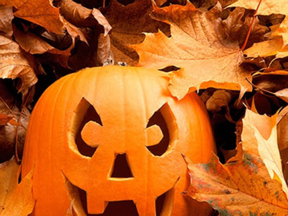 Broomsticks, Barmbracks and Bobbing For Apples from The Tarot Guide. Image depicts a Halloween / Samhain Jack-o-lantern Pumpkin surrounded by orange autumn leaves.