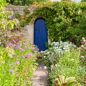 Image depicts a garden pathway surrounded by beautiful flowers and greenery. At the end of the path lies a stone wall with a blue door. This is image is symbolic of the garden in which you can connect to your spirit guides as a beginner developing your psychic powers. 
