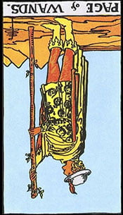 Page of Wands Tarot Reversed Meaning by The Tarot Guide, Learn How to Read Tarot Cards, Minor Arcana, General Interpretation, Love, Relationships, Money, Finance, Health, Spirituality, Keywords, Tarot Reading, Tarot Readers, Psychic, Clairvoyant, Reiki, Palm, Online, Skype, Email, In-person Tarot Readings, Dublin, Ireland, UK, USA, Canada, Australia, How Someone Sees You, Feels About You, Job Offer, Feelings, Outcome